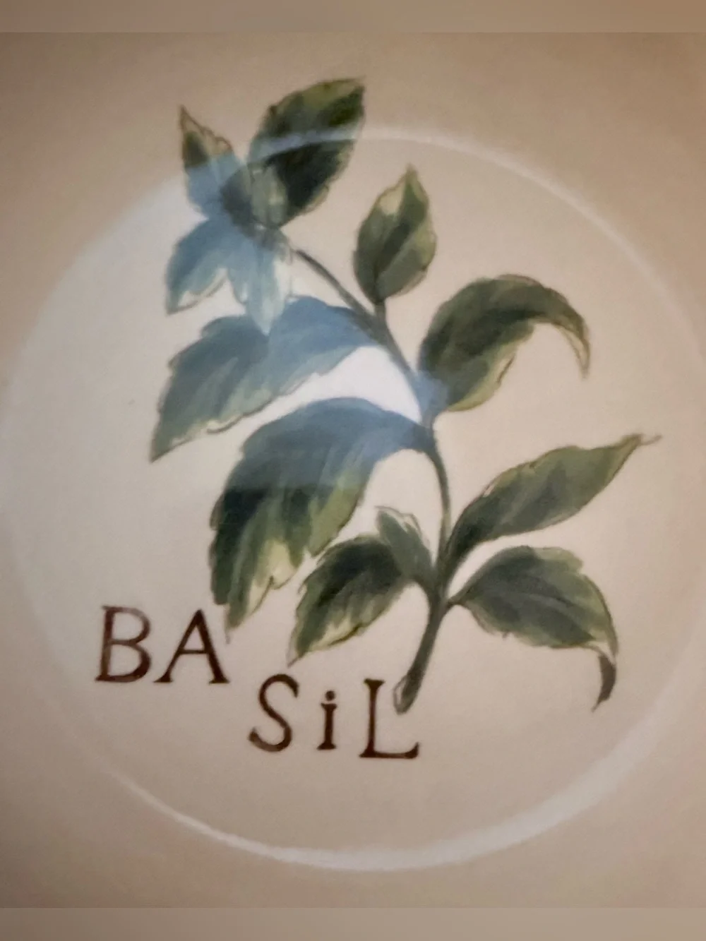 RARE Williams Sonoma 9